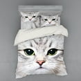 thumbnail image 2 of Ambesonne Animal Bedding Set 3 Pcs, Domestic Kitty Portrait, Twin XL, Multicolor, 2 of 3