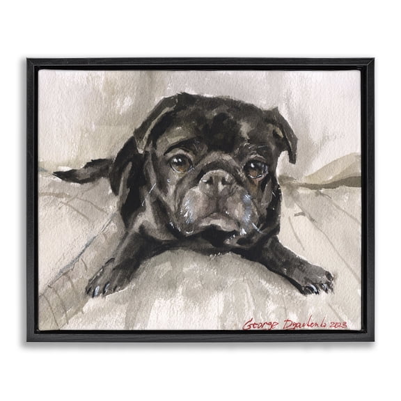 Stupell Industries Modern Cozy Pug Relaxing Black Floating Frame Canvas Art, 21 x 17, by George Dyachenko