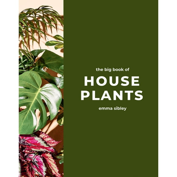 The Big Book of House Plants (Hardcover)