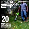 thumbnail image 4 of Greenworks 24V 12" Cordless String Trimmer and Blower Combo Kit, 2Ah USB Battery and Charger Included, 4 of 11
