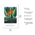 thumbnail image 2 of The Queen Flower (Bird of Paradise) - from the Temple of Flora - Vintage Botanical Illustration by Robert John Thornton c.1807 - 8 x 12 inch Vintage Metal Tin Sign, 2 of 4