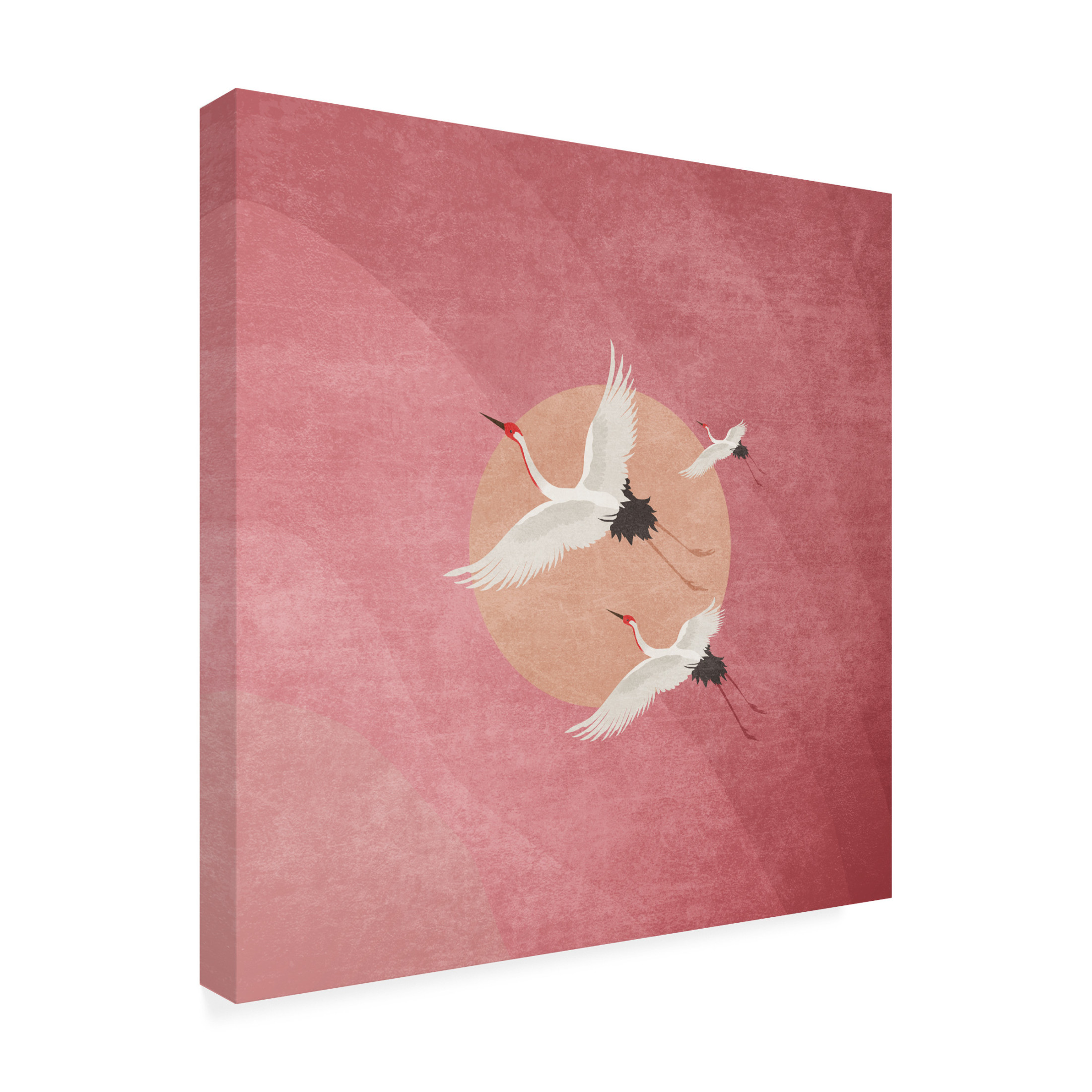 Trademark Fine Art Emel Tunaboylu Flying Cranes Canvas Wall Art