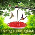thumbnail image 4 of Hummingbird Feeders For Outdoors Hanging, Leakproof Plastic Saucer Hummingbird Feeders 25 Feeding Ports, 4 of 4