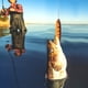 thumbnail image 5 of Espalda Roja/cebo De Pesca De Mar Naranja Leopardo, Cebo De Pesca De Cola T, Color Brillante Para Pesca Nocturna Lubina Rayada OTVIAP #14 Leopardo Naranja, 5 of 8