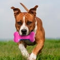 thumbnail image 2 of Os sonore Nerf Dog en TPR 18cm, 2 of 10