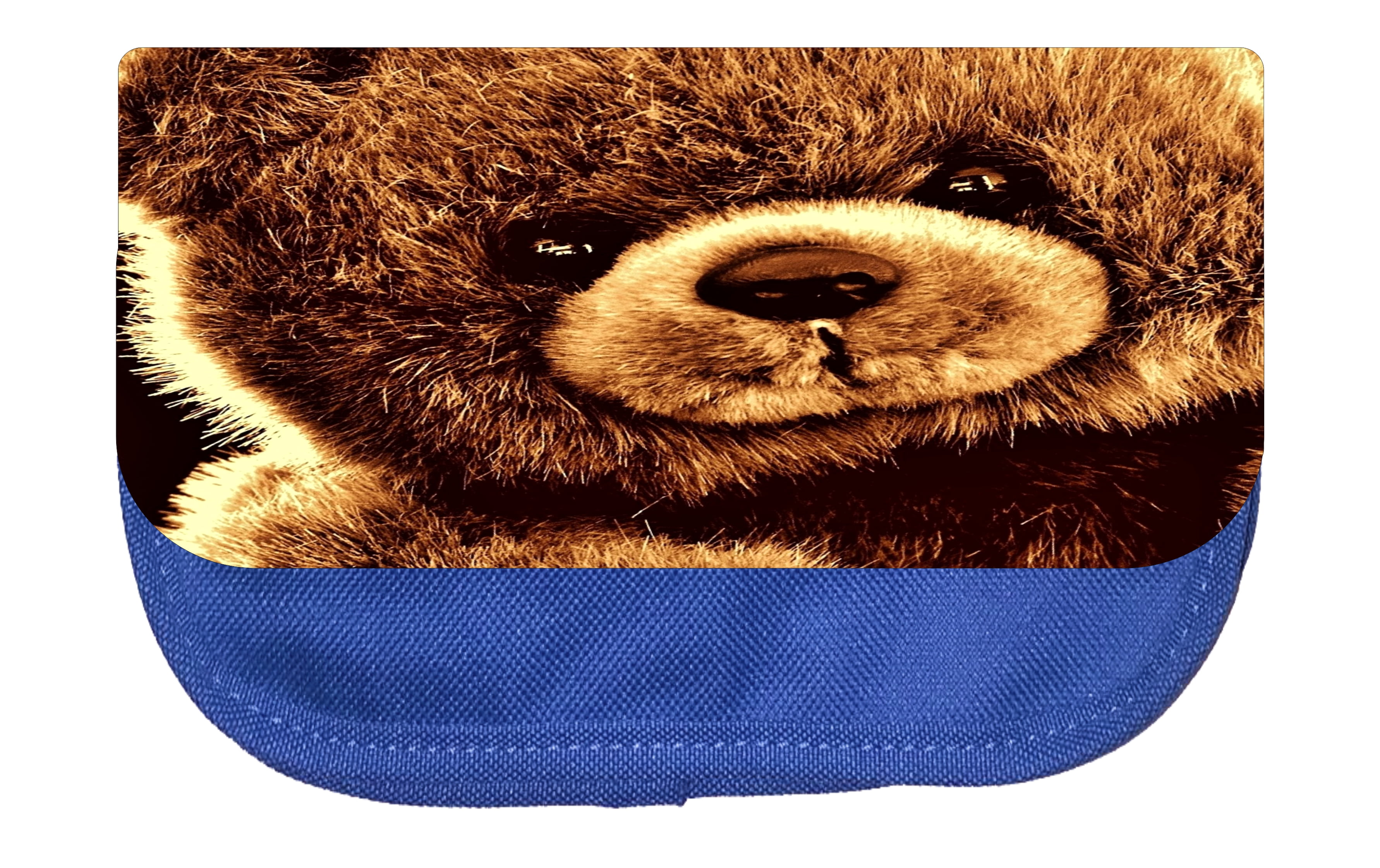 teddy bear pencil case