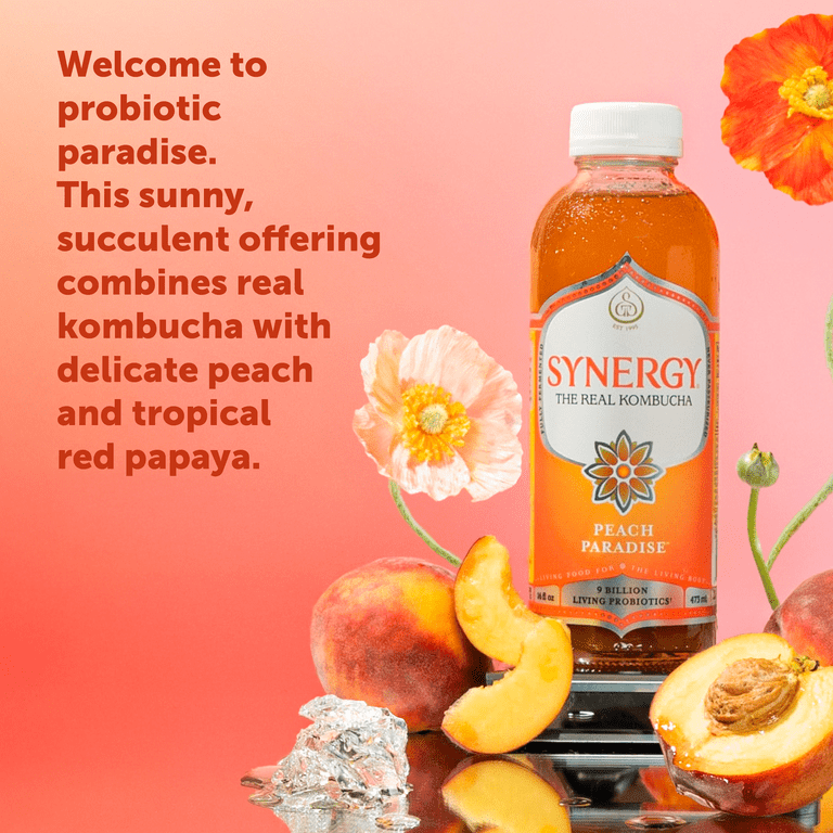Synergy The Real Kombucha Peach Paradise, 16 fl oz - Walmart.com