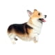 thumbnail image 2 of Figura de perro Corgi, figura decorativa, juguete educativo coleccionable, juguete cognitivo animal marrón, 2 of 9