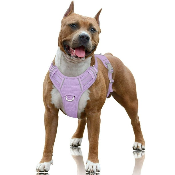 Arnés para perros BARKBAY, reflectante, sin tirones, con clip frontal, color morado L