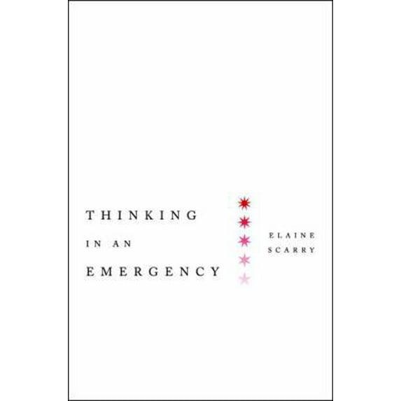 Pre-Owned Thinking in an Emergency (Norton Global Ethics Series) (Hardcover) 0393078981 9780393078985