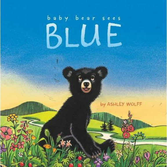 Pre-Owned Baby Bear Sees Blue (Hardcover) 1442413069 9781442413061