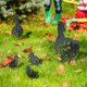 thumbnail image 2 of Decorative Garden Statue Ornament 5 Pack Black Duck Silhouette Stake For Yard, 2 of 5