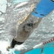 thumbnail image 4 of Swimming Kickboard, A Great Training Aid For Children And Adults, 4 of 5