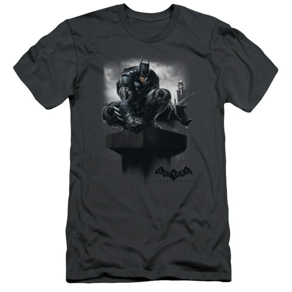 Batman Arkham Knight Perched S/S Adult 30/1 T-Shirt Charcoal