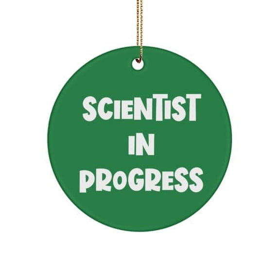 Inspirational Scientist Gifts, Scientist in Progress, Love Christmas Circle Ornament Gifts for Coworkers