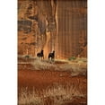 thumbnail image 3 of Drost, David 17x24 Black Modern Framed Museum Art Print Titled - Custom Canyon Dewellers (ASH), 3 of 5