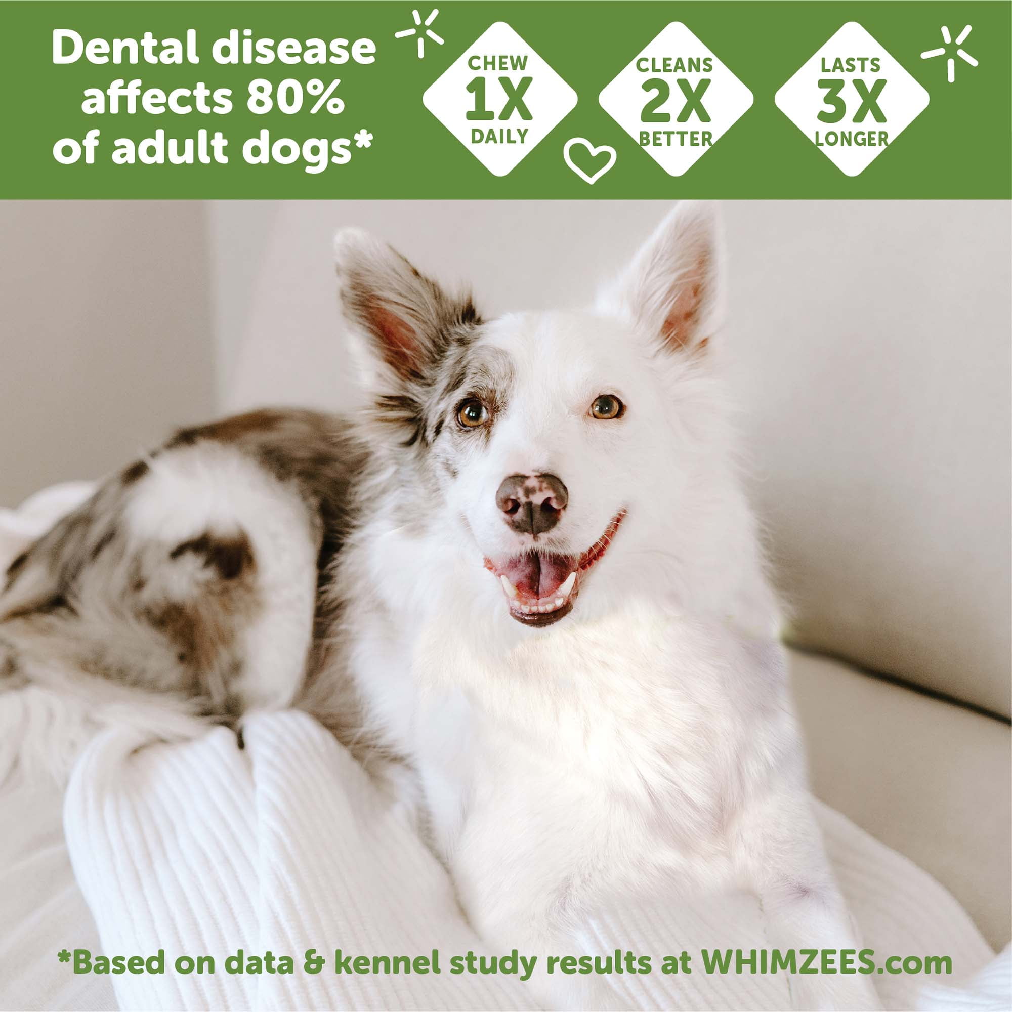 WHIMZEES Natural Grain Free Daily Dental Long Lasting Dog Treats, Stix,  Medium, Bag of 14 