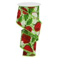 thumbnail image 1 of Apples Canvas Wired Edge Ribbon, 2.5" x 10 Yards (Green Gingham), 1 of 2