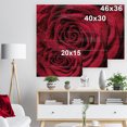 thumbnail image 5 of Design Art - Red Rose Petals with Rain Droplets, 5 of 5