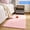 Pink-2x5.2ft, variant on Tripumer Ultra Soft Rug Fluffy Shag Area Rug 3 X 5 feet Solid Shaggy Carpets Fuzzy Rug for Bedroom Modern Home Interior Decor White