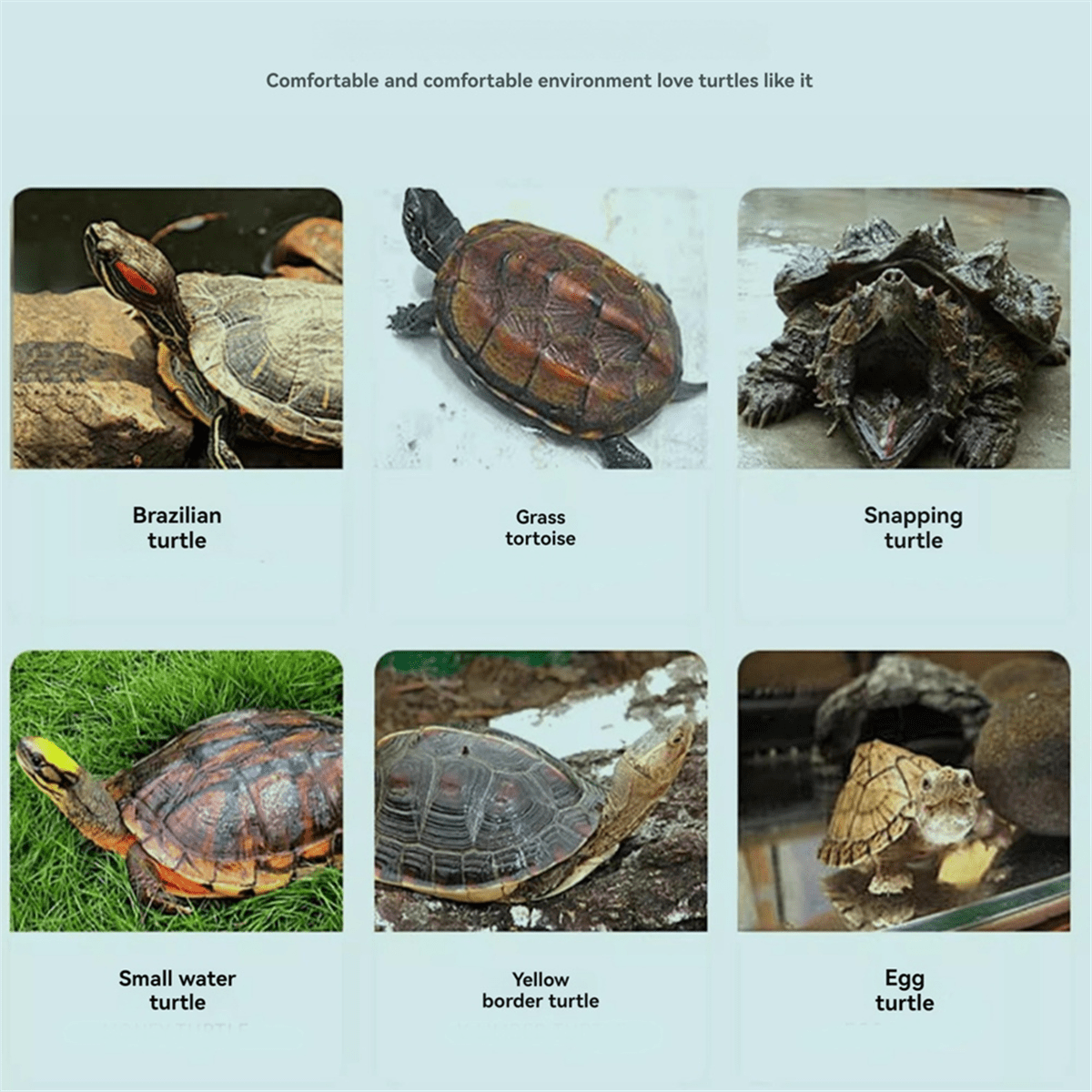 HOT Transparency Turtle Tank House with Areas to Breed Feed Swim Bask Enclosure Water Cage Reptile Habitat White Type