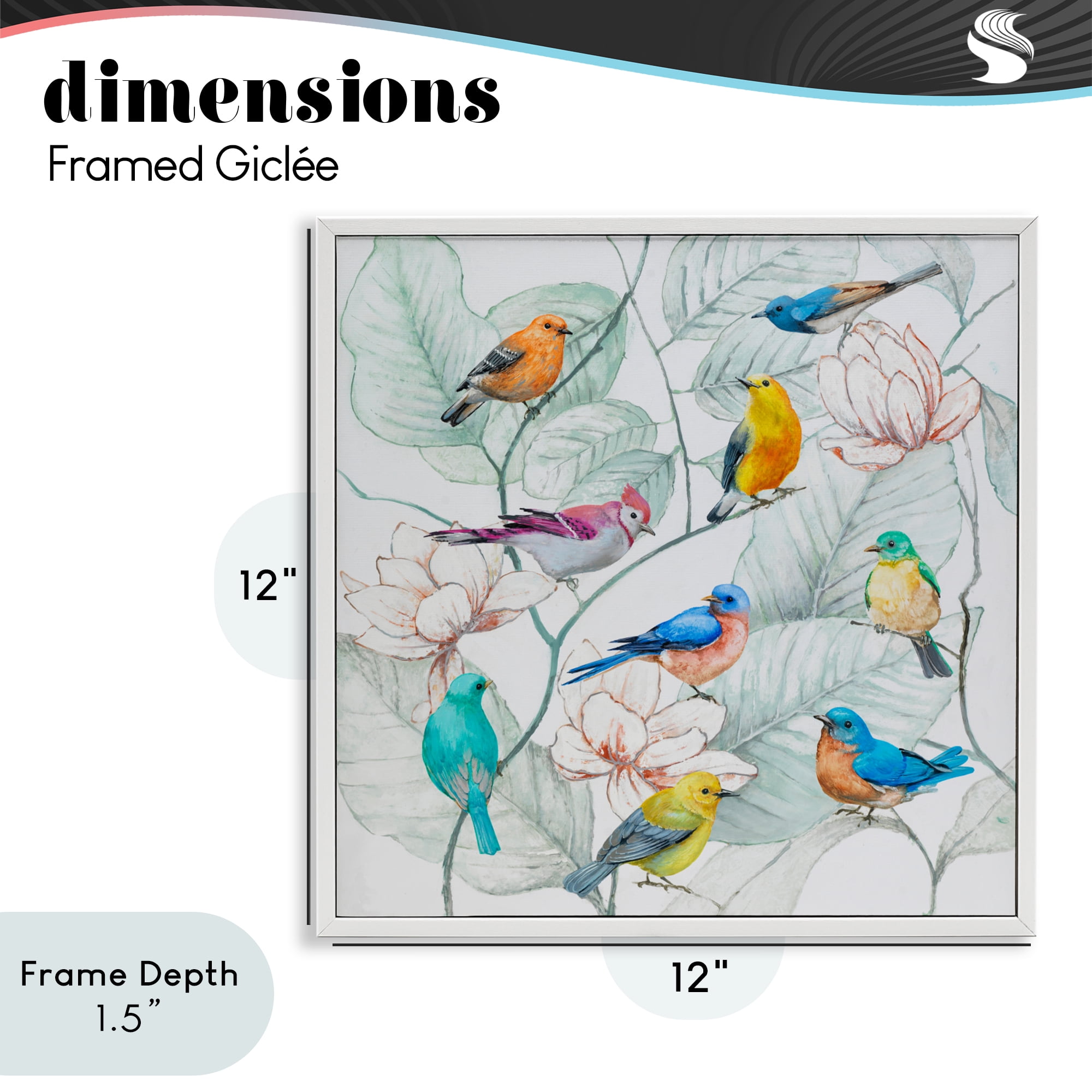 Stupell Industries Colorful Array Of Birds White Framed Giclee Art, design by Lorenzo Collective