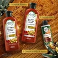 thumbnail image 5 of Crema para Peinar Herbal Essences Bío:Renew Manuka Honey & Aloe 300 ml, 5 of 5