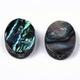 thumbnail image 2 of 10 pc Natural Abalone Shell/Paua Shell Beads Oval Colorful 14.5x10.5x3.5mm Hole: 1mm, 2 of 2