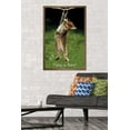 thumbnail image 4 of Famous Kitten Hang In There Poster Wall Poster, 22.375" x 34", 4 of 5