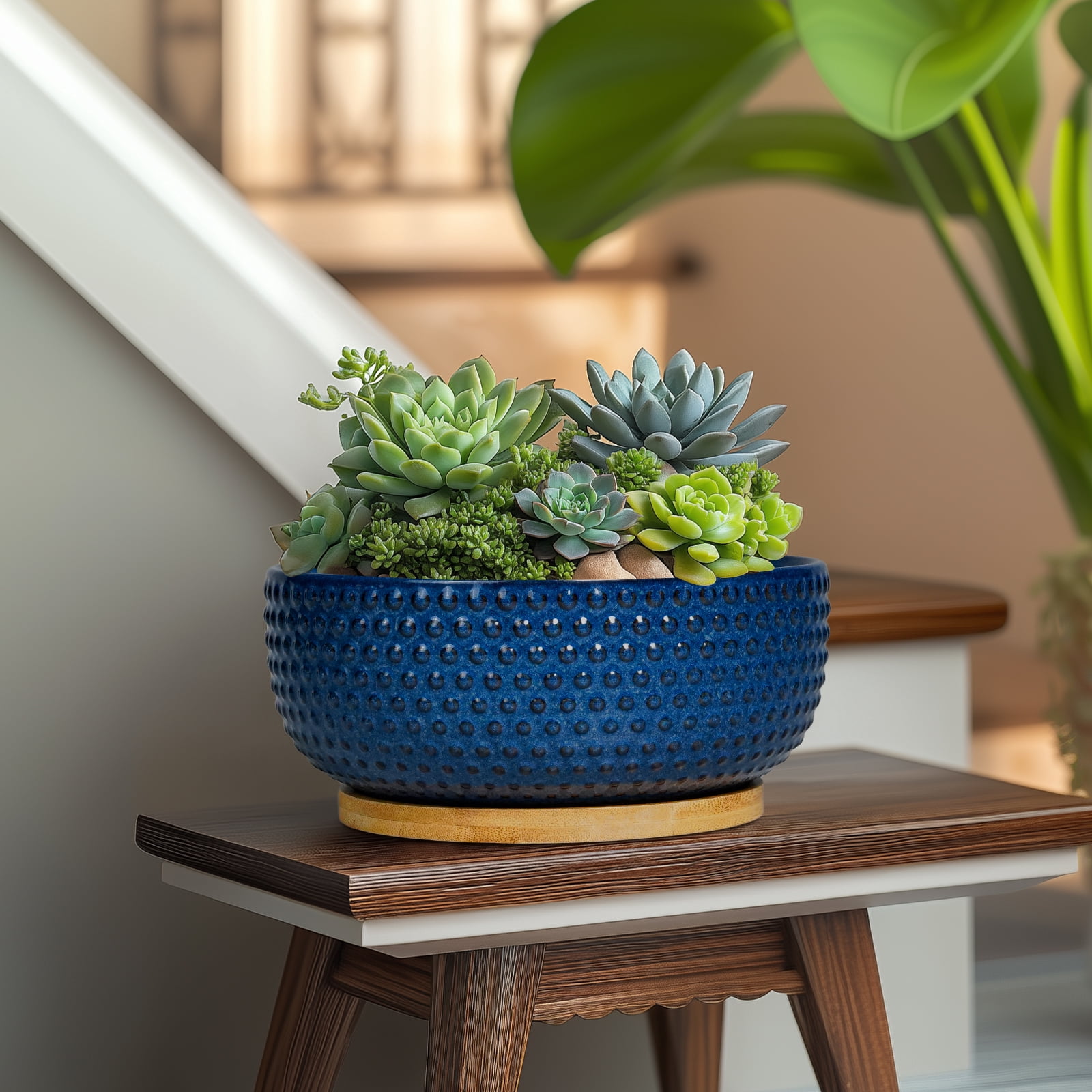 8 inch Succulent Planter Bowl, Round Ceramic Pot with Drainage Hole & Bamboo Tray,Shallow Flower Pots for Indoor Plants Cactus Blue