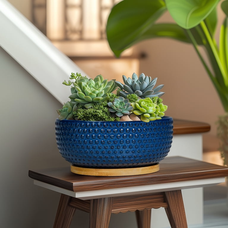 Ordivic 8" Blue Ceramic Shallow Planter with Bamboo Saucer photo 7
