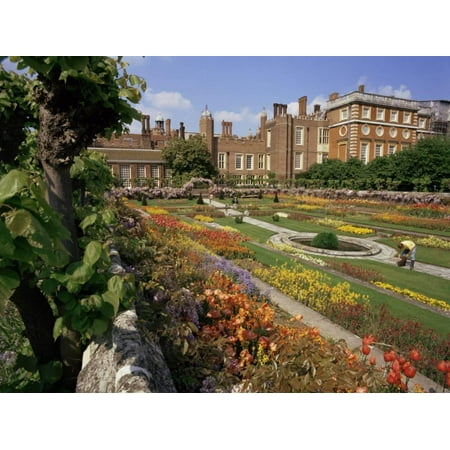 Garden Hampton Court Palace - Sunken Gardens, Hampton Court Palace, Greater London, England, United Kingdom Print Wall Art By Walter Rawlings