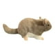 thumbnail image 2 of Muñeco de peluche de chinchilla de peluche de juguete suave para niños de cumpleaños 14 cm, 2 of 9