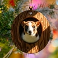 thumbnail image 5 of Nkmbld Animal Ornaments for Christmas Tree, Forest Little Animals Acrylic Hanging Decoration for Tree Walls Windows Doors Home Party Garden, 5 of 6