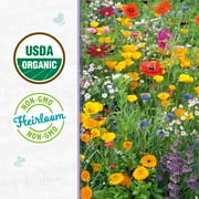 Back to the Roots Organic Wildflower Mix, 1 Seed packet