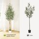 thumbnail image 5 of Qinaqin 5FT/6FT/7FT Fake Oliva Tree con Realistic Fau x Silk Leaves Blanco Planter Pot Natural Madera Trunk, 5 of 5