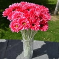 thumbnail image 4 of Walbest 1 Pc 19 7 Inches Artificial Flower Gerbera with Stem Silk Flower Arrangement for Home Garden Party Wedding Greenery Fireplace Table Centerpieces Flower Diameter 4", 4 of 7