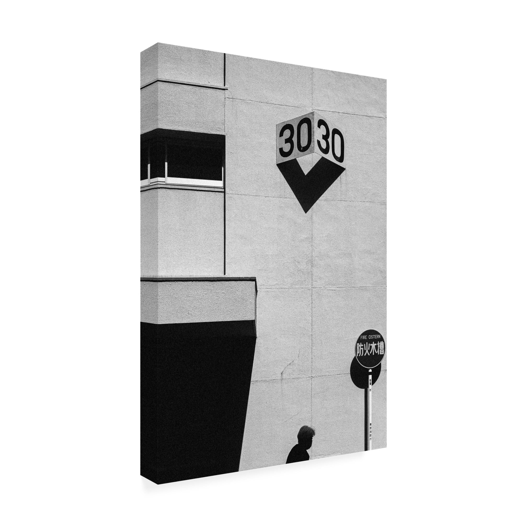 Trademark Fine Art Kentaro Watanabe 30 Canvas Wall Art