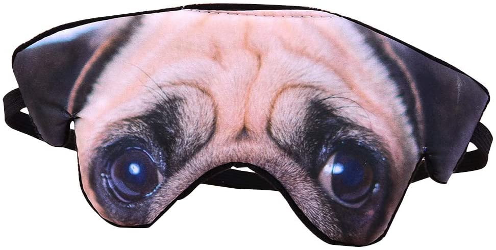 pug with eye patch