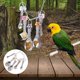 thumbnail image 3 of Parrot Biting Toy Bird Metal Spoon Chain Set Pet Supplies for Bird Cage, 3 of 3
