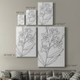 thumbnail image 4 of Botanical Sketch I Premium Gallery Wrapped Canvas - Ready to Hang, 4 of 9