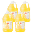 thumbnail image 1 of Concession Stand Slushy Syrup 5:1 Concentrate - 1 Gallon Bulk Food Service - Multiple Flavors (4/CASE), 1 of 6