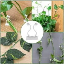 Summercome 50Pcs Plant Climbing Wall Fixture Clips, Plant Vine Wall Clips Wall Plant Support Hook, Invisible Plant Support Vine Clips, Plant Fixer Self-Adhesive Hook for Climbing Plants Indoor Outdoor