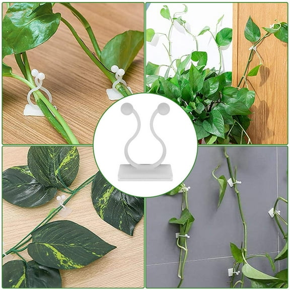 Summercome 50Pcs Plant Climbing Wall Fixture Clips, Plant Vine Wall Clips Wall Plant Support Hook, Invisible Plant Support Vine Clips, Plant Fixer Self-Adhesive Hook for Climbing Plants Indoor Outdoor