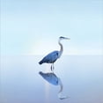 thumbnail image 2 of Great Art Now Beachscape Heron II by James McLoughlin, Framed Wall Art, 17.5W x 17.5H, 2 of 3