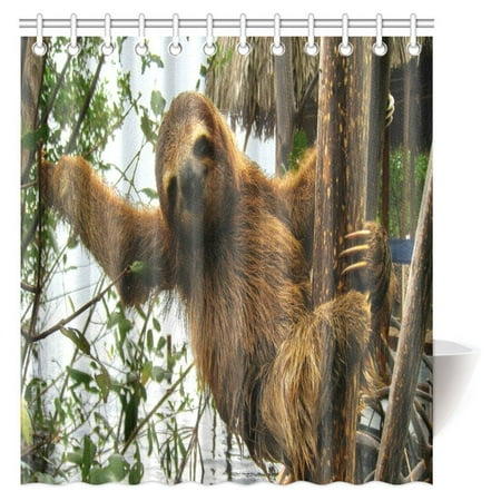 Mypop Sloth Decor Shower Curtain Set Cute Baby On Tree Trunk Mypop Sloth Decor Shower Curtain Set Cute Baby On Tree Trunk Fabric Bathroom