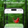 thumbnail image 3 of Comedero para pájaros Billber Outdoor Smart con cámara y panel solar, 3 of 7