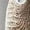 Brown, variant on Women's Elegant Short Sleeves Stripe Dress Drawtring Waist Cocktail Dress Wrap Bodycon Classy Party Dresses 2026 S