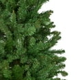 thumbnail image 4 of Northlight Pencil White River Fir Artificial Christmas Tree - 7.5' - Unlit, 4 of 6