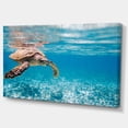 thumbnail image 1 of Designart - Large Hawksbill Sea Turtle - Abstract Canvas Art Print, 1 of 2